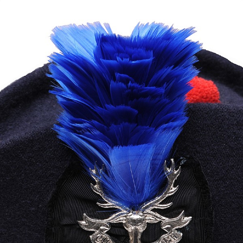 Plumet, standard, bleu royal Plumet, standard, bleu royal