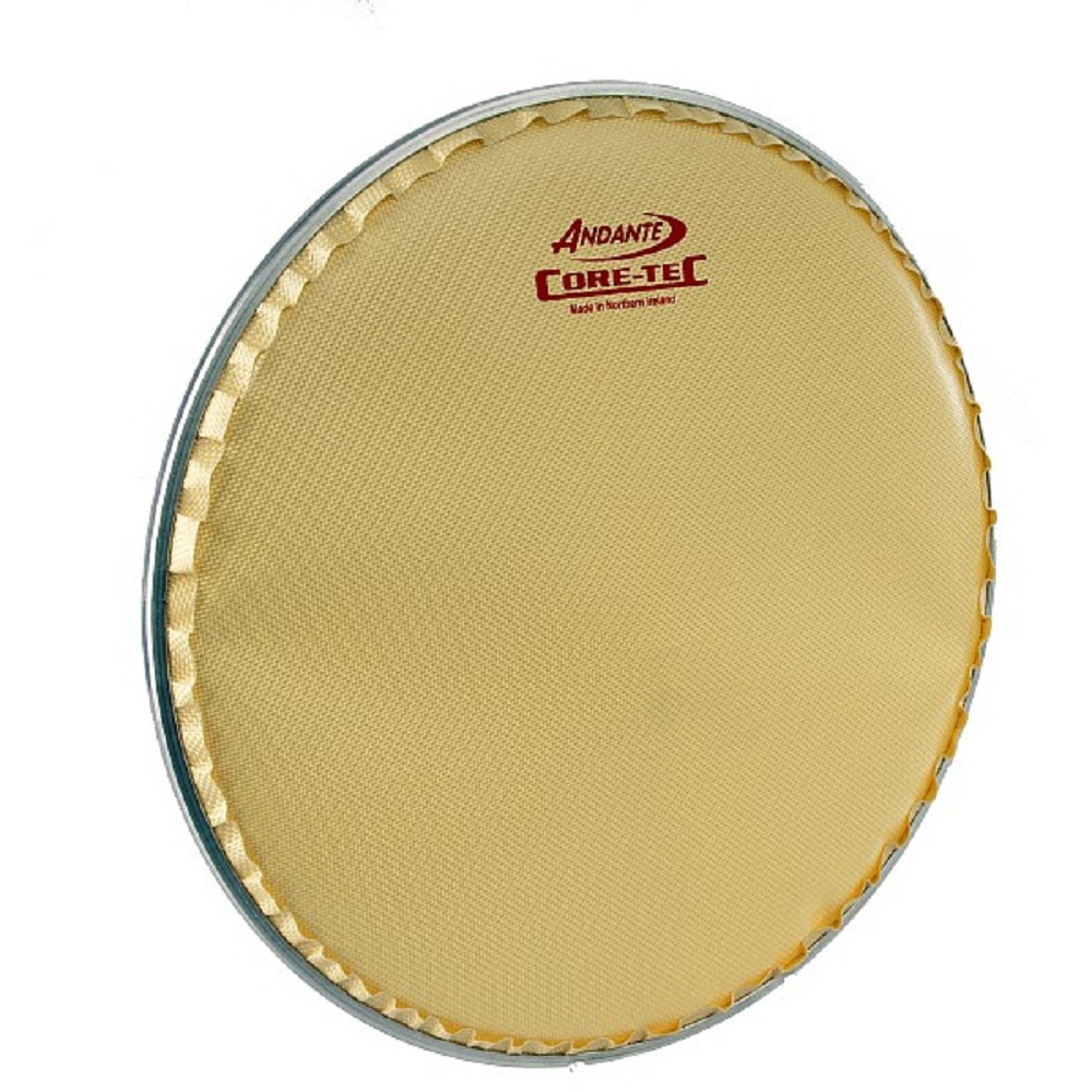 14" Andante CoreTec Head - Gold 14" Andante CoreTec Head - Gold
