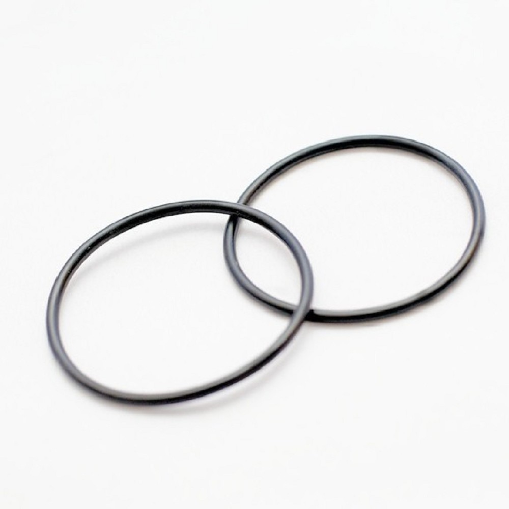 O-Ring for CMCS Canister  (2)